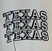 Load image into Gallery viewer, Texas Iron-on Embroidery logo
