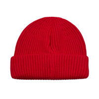 Load image into Gallery viewer, Fisherman ribbed beanie
